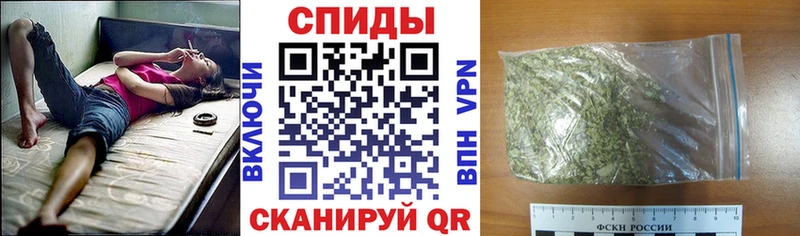 KRAKEN ONION  Томари  Бутират 99% 