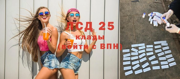 ПСИЛОЦИБИНОВЫЕ ГРИБЫ Кодинск