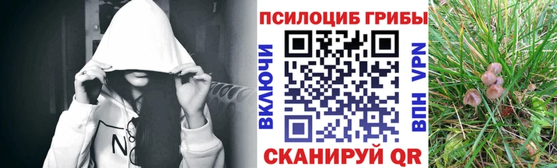 наркошоп  Томари  Галлюциногенные грибы мухоморы 